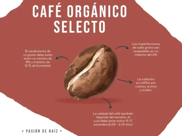 Cafe Selecto Organico