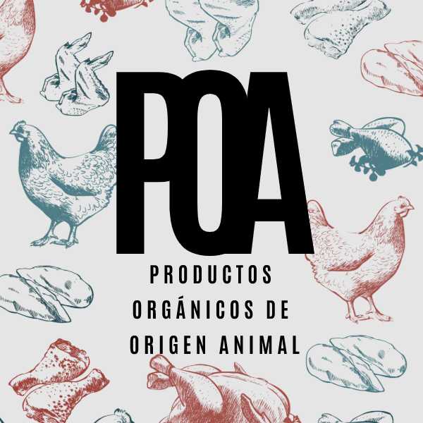 categoria de productos origen animal ilustración