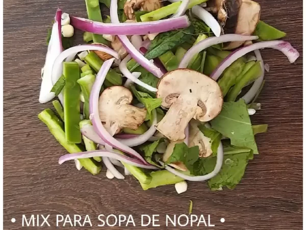 Sopa de Nopal